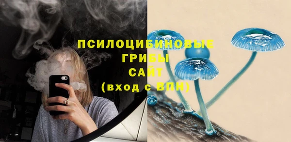 ALPHA-PVP Медвежьегорск