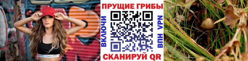 ссылка на мегу рабочий сайт  Кинель  Галлюциногенные грибы мухоморы 