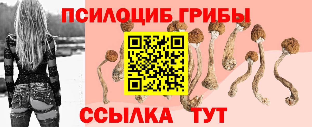 Галлюциногенные грибы Psilocybine cubensis  хочу наркоту  Кинель  Вход с VPN 