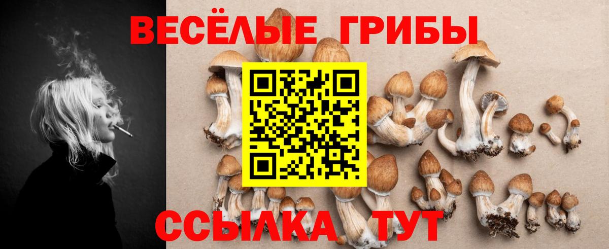 Мефедрон  Конопля  Марки  Хэш  A-PVP  Вход с VPN  Кинель  КОКАИН 