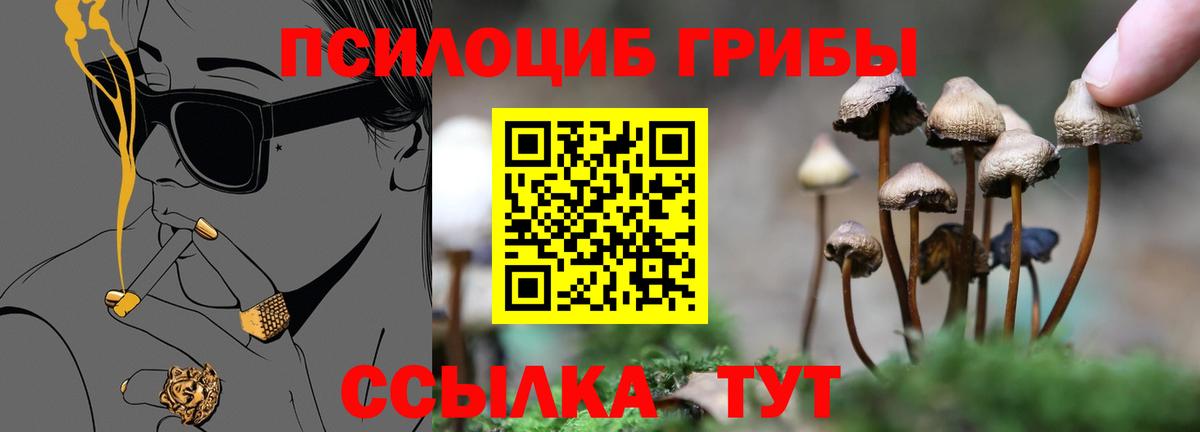 Галлюциногенные грибы MAGIC MUSHROOMS Кинель
